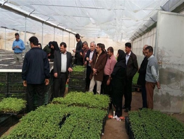 بازدید کارشناسان جهاد کشاورزی نی ریز از طرح های گلخانه ای استان یزد