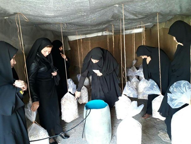 درآمد زایی مدارس شهرستان هیرمند با بهره گیری از اقتصاد مقاومتی
