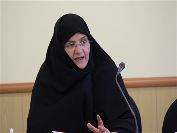 اطلاعات دقیقی از وضعیت کودکان بازمانده از تحصیل در زنجان وجود ندارد