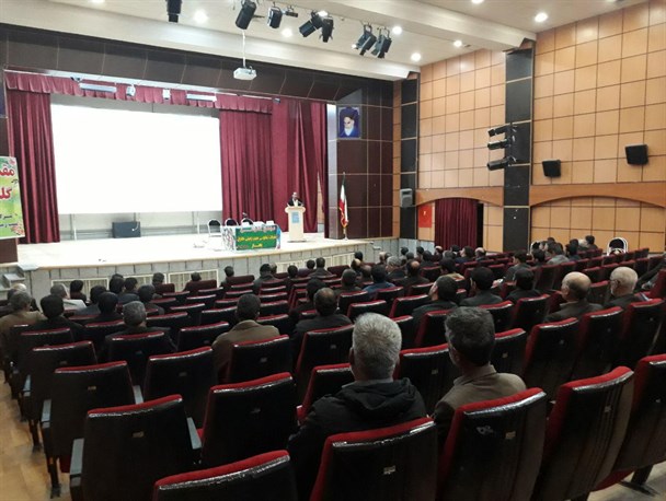 نیترات سیب‌زمینی‌های بهار کمتر از حد مجاز است