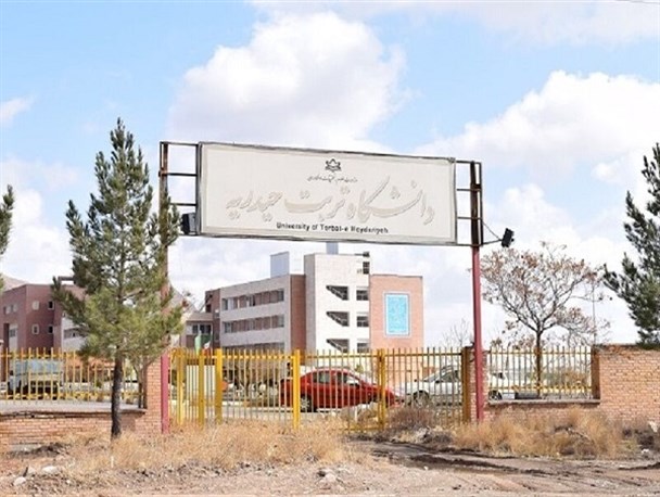 131 طرح پژوهشی دانشگاه تربت حیدریه به نتیجه نهایی رسیده است