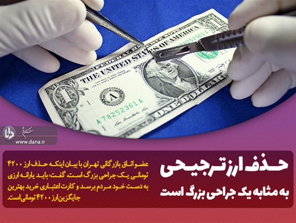 قیمت مرغ با ارز ۴۲۰۰ تومانی باید ۱۲ هزار تومان می شد/ حذف ارز ترجیحی به مثابه یک جراحی بزرگ است