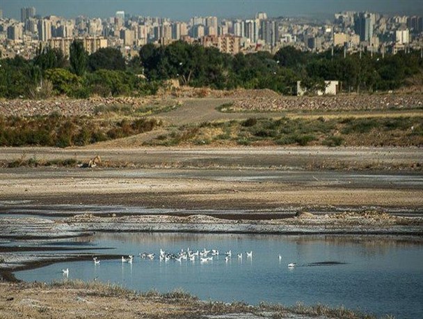 بلاتکلیفیِ محض، سرانجامِ پروژه پارک بزرگ/ تکلیف زمین‌های کشاورزی چه خواهد شد؟