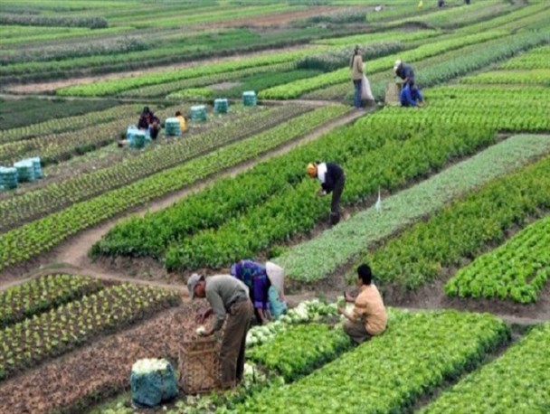 بررسی جوانب مختلف واگذاری مدیریت منابع آبی به بخش کشاورزی