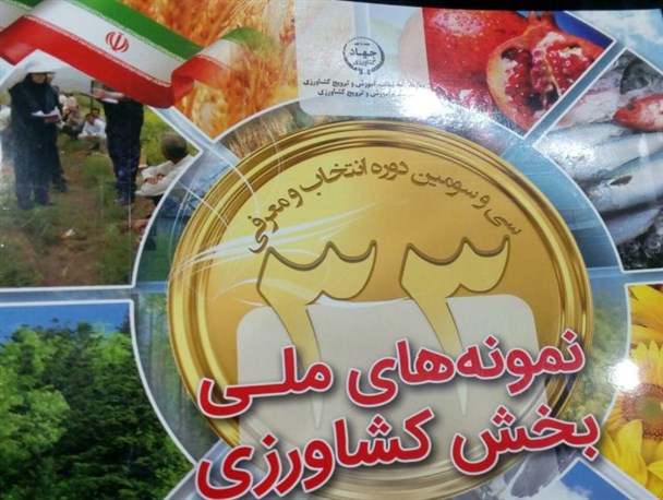 ۶دامدار و کشاورز کاشمری به عنوان تولیدکننده نمونه ملی و استانی انتخاب شدند
