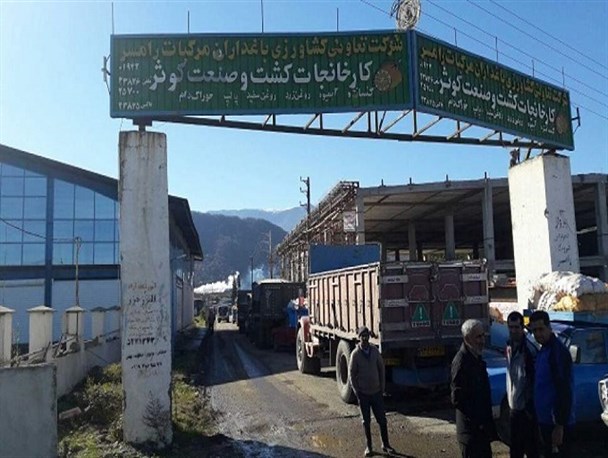 امید دوباره در دل ۱۰ هزار سهام‌دار رامسری/ کارخانه کشت و صنعت کوثر مجدد راه‌اندازی شد