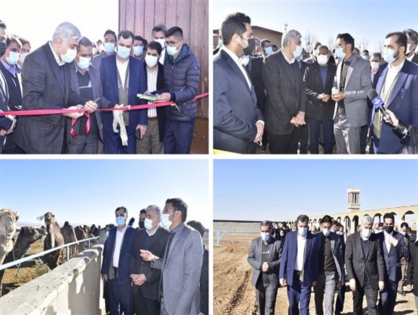 ایستگاه تحقیقات شتر و گونه‌های مرتعی در بیرجند افتتاح شد