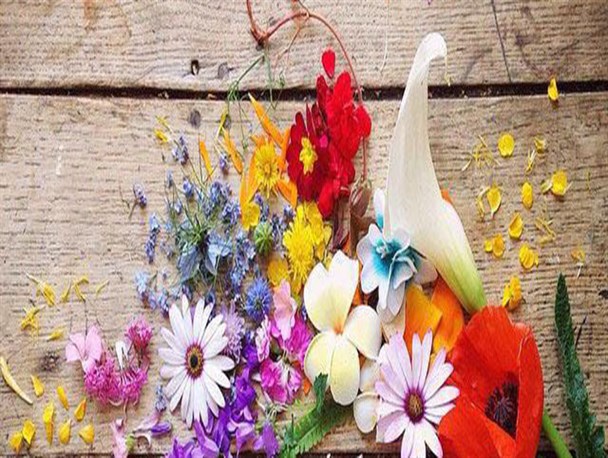 نمونه هایی زیبا از عکاسی  گل طبیعی