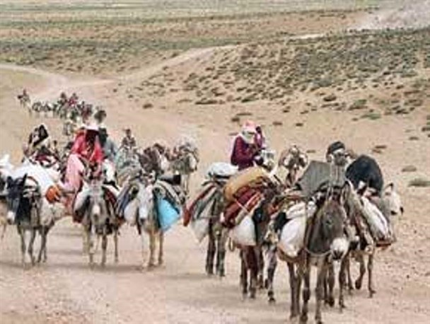 ترمینال ضبط پسته اولویت کاری مدیر عامل شرکت تعاونی عشایرفردوس است