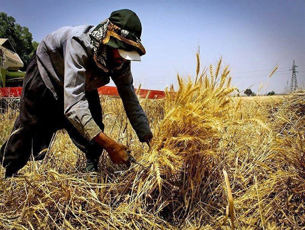 گلایه دامداران و کشاورزان «جغتای» به روند پرداخت وام اشتغال روستایی