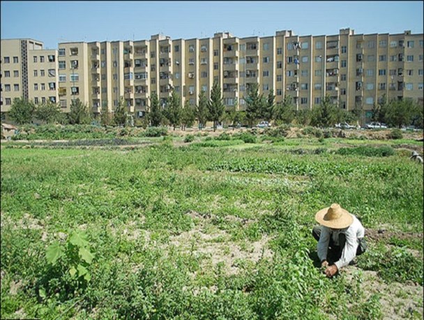 هجوم سودجویان برای تغییرکاربری اراضی کشاورزی در حاشیه شهر مشهد