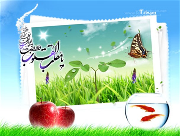 پیام تبریک فرماندار ماسال برای فرا رسیدن سال نو