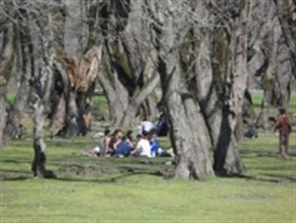 پارک جنگلی باقر آباد مینودشت مکانی دیدنی برای مسافرین نوروزی+تصاویر