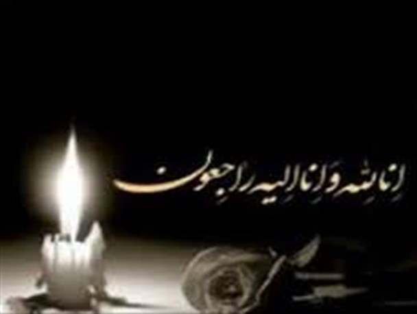 عاشقانه ترین دید و بازدید نوروز رقم خورد/ مادر شهید اعیادی به دیدار فرزندش شتافت