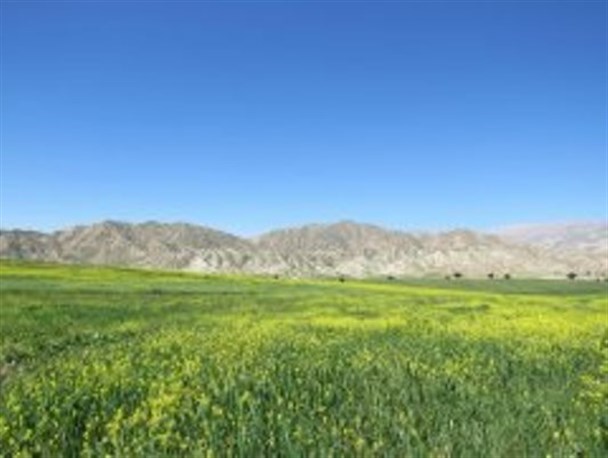 طبیعت سرسبز وزیبای شهرستان لنده تورا می خواند+تصاویر