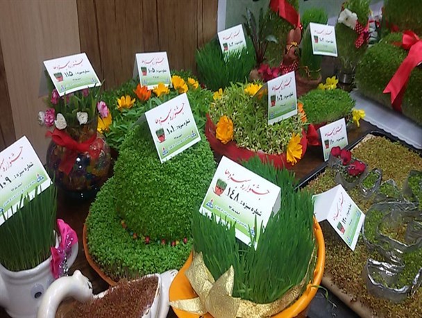 جشنواره سبزه ها در گچساران+تصاویر