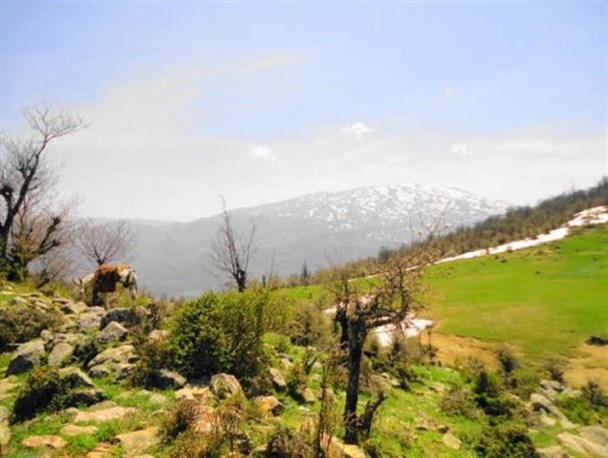 جاذبه هاو مناطق گردشگری شهرستان آزادشهر