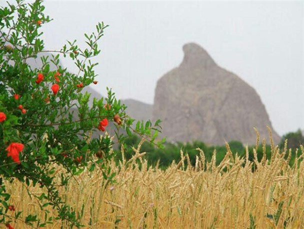 روستای اسلامیه؛ شهیدیه شهرستان تفت