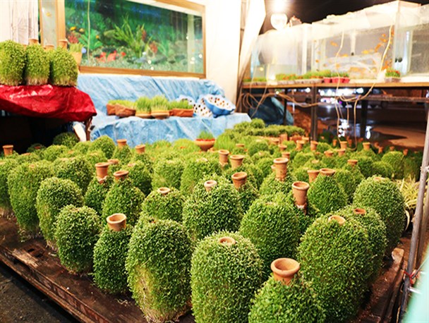 بدون تشریفات سال‌های گذشته به استقبال نوروز برویم