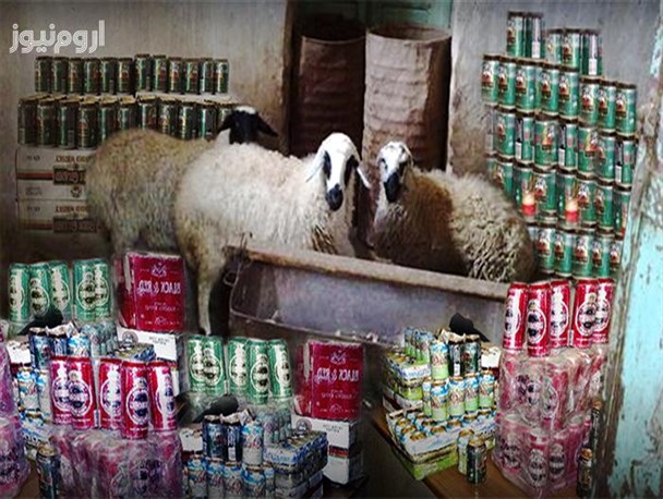قاچاق مشروبات الکلی از طویله های روستایی تا معده مشروب خواران