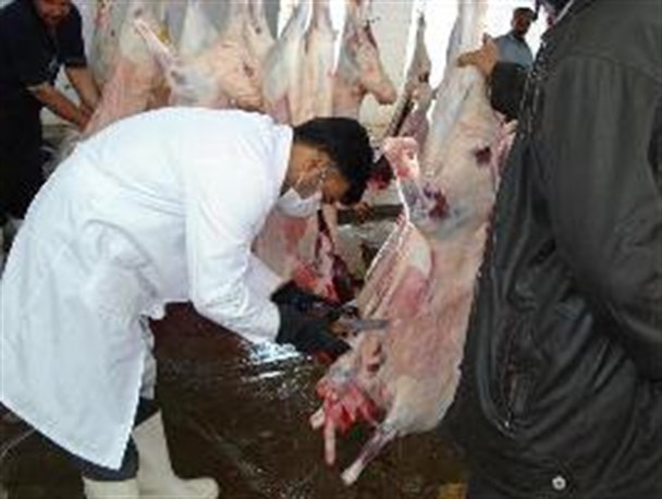نظارت بهداشتی بر بیش از ۱۵۰ تن گوشت قرمز در مه ولات