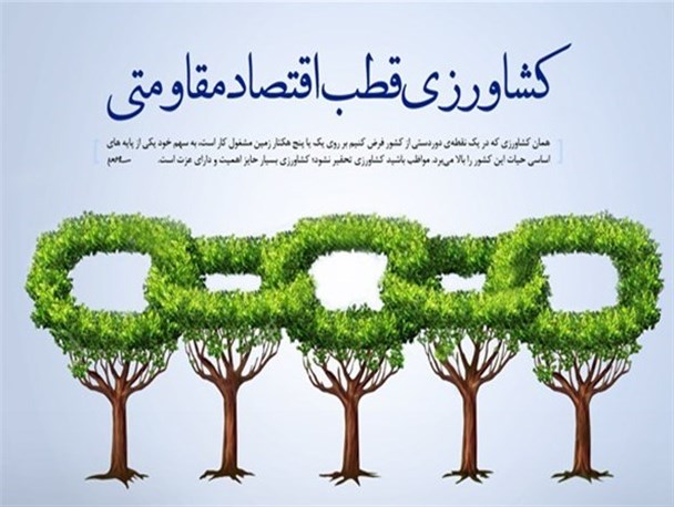 ایجاد صنایع تبدیلی و بسته بندی نیاز خنداب برای تحقق اقتصاد مقاومتی