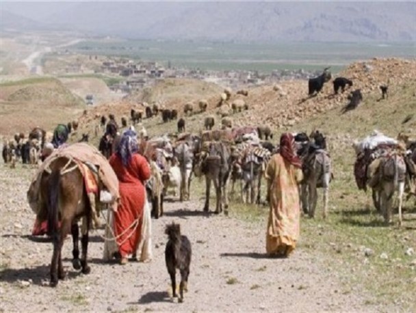 خسارت سنگین برف و باران به عشایر فریدونشهر
