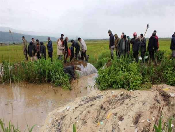بارش باران و خسارت به بخش کشاورزی گلوگاه +تصاویر
