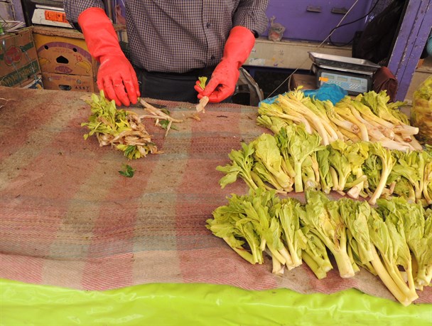 بازار گیاهان کوهی در چهار محال و بختیاری+تصاویر