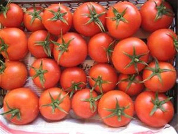 گوجه فرنگی یک شبه در روانسر 4000 تومان شد