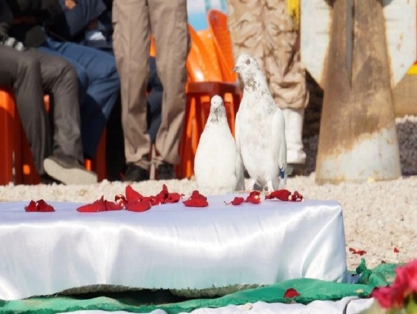 پارک فقط جای ورزش و سرگرمی نیست!