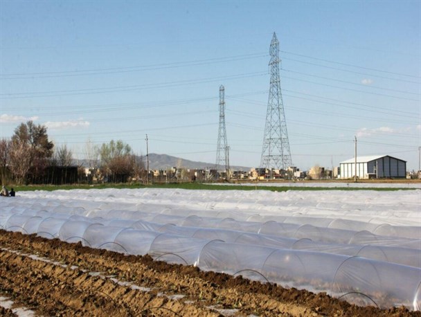 کشت تونلی نشاء هندوانه برای اولین بار در بهار