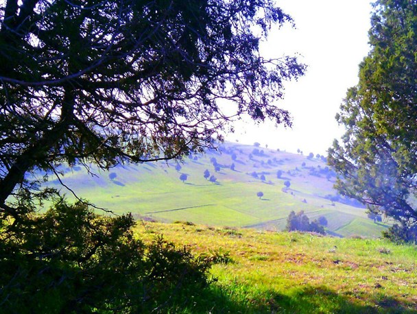 طبیعت زیبای خورش رستم خلخال در قاب تصویر