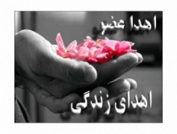 عمده اهدا کنندگان عضو 20 تا 40 ساله هستند/ تصادفات عامل اصلی مرگ مغزی
