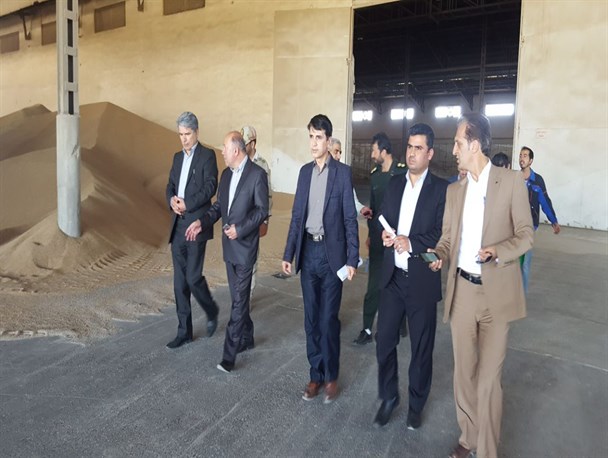 مراکز خرید محصولات کشاورزی شهرستان آماده خرید و ذخیره سازی گندم، جو و کلزا هستند