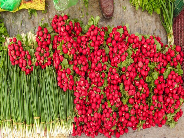 میهمانی رنگ ها در یکشنبه بازار صومعه سرا + تصاویر
