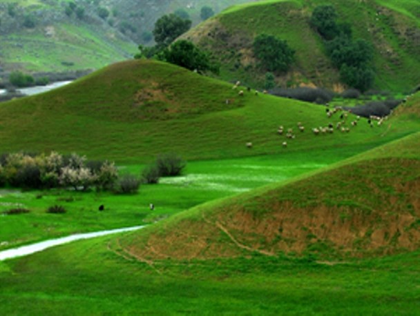 وقتی افزون‌خواهی انسان‌ها چهره طبیعت را به نابودی می‌کشاند