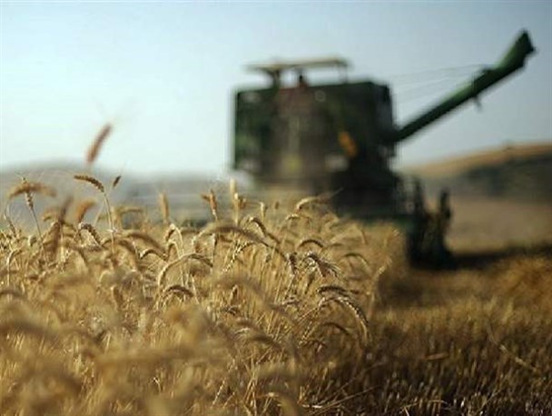 عدم سرویس و تنظیم کمباین دسترنج کشاورزان را هدر می‌دهد