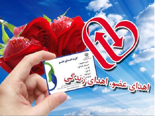 اهدای عضو، پایانی که ادامه زندگی دیگران می شود/ فرهنگسازی لازمه پیوند اعضا