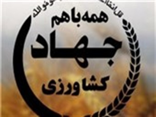 افتتاح ۶ طرح جهاد کشاورزی با اعتباری افزون بر ۶ میلیارد ریال در تویسرکان