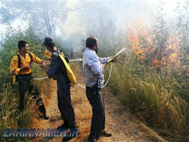 آتش ساقه های طلایی گندم دامن سبز جنگل را گرفت + تصاویر