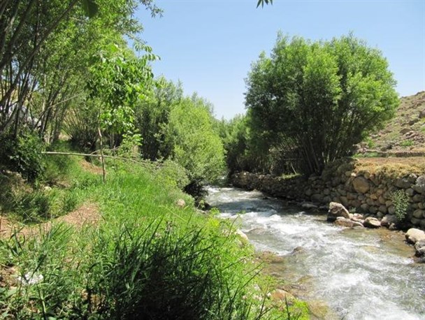 بی توجهی به ساماندهی سفره خانه های غیرمجاز ونایی بروجرد/ پاسکاری توپ ساماندهی ادامه دارد!