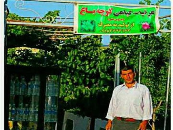 درآمدزایی از باغچه منزل/شغلی زودبازده با سرمایه اولیه اندک+عکس