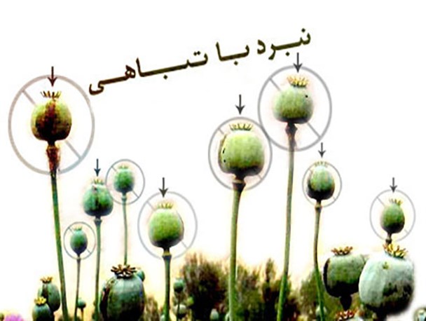 مبارزه با مواد مخدر باید به یک جهاد بزرگ تبدیل شود