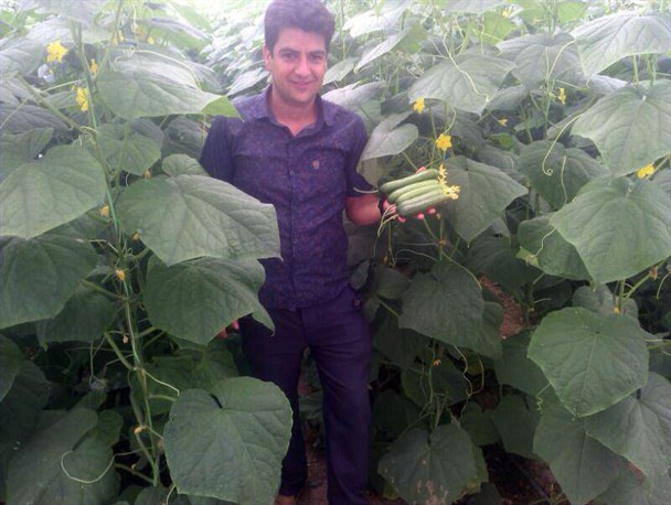 قیمت محصولات کشاورزی را دلالان تعیین می‎کنند/ هیچ نهادی بر فرآیند عرضه و تقاضای محصولات نظارت نمی‎کند