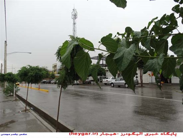 بارش باران تابستانی در الیگودرز
