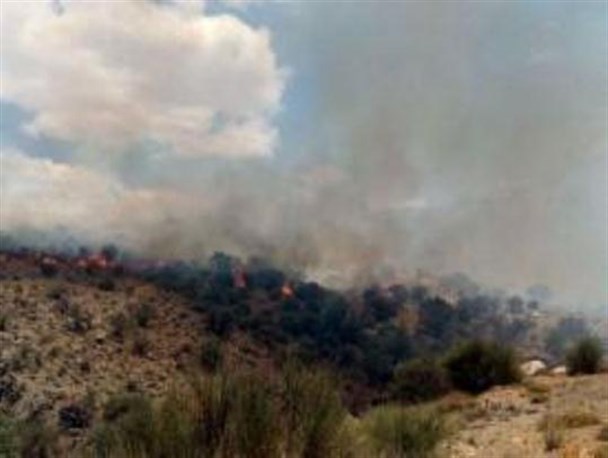 آتش سوزی در مراتع روستای بزن آباد سفلی از توابع بخش بیستون +فیلم و عکس