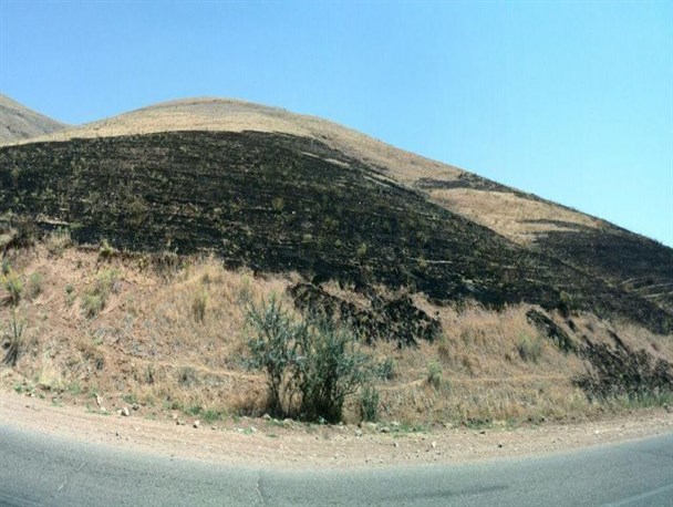 سه ساعت و نیم جدال با آتش با دست‌های خالی/ چه کسی پاسخگوست؟+ تصاویر