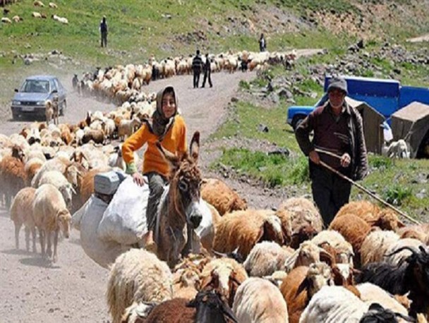 سهم عشایر شهرستان لنده از محل اعتبارات ارزش افزوده محقق شد