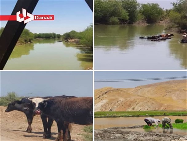 خوزستان سیراب شد/ هیچ نقطه ای اکنون بدون آب نیست
